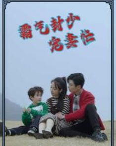 霸气封少宠妻忙 第21-40集