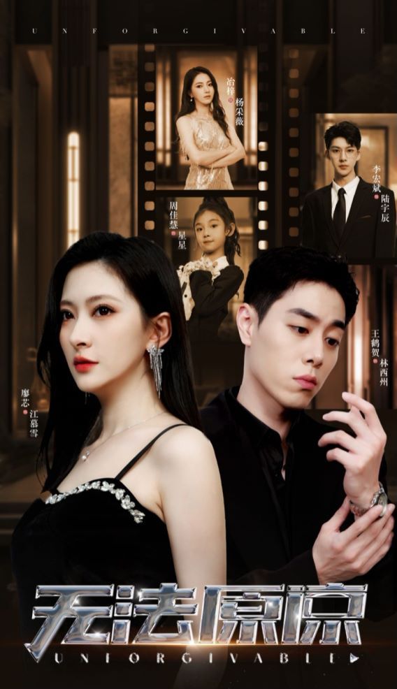 无法原谅 第12集