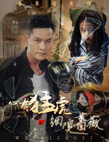 心有猛虎细嗅蔷薇 第1-20集