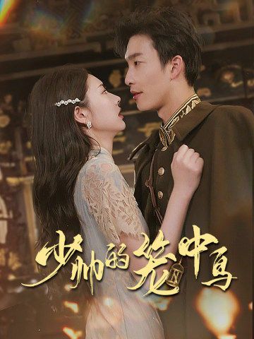 少帅的笼中鸟 第1-20集