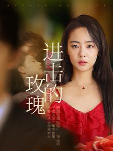 进击的玫瑰 第21-40集