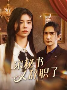 宋秘书又辞职了 第1-20集