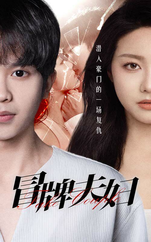 冒牌夫妇 全集完结