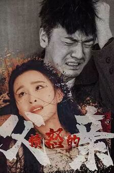 愤怒的父亲 第1-20集