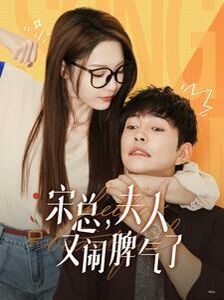 宋总，夫人又闹脾气了 第1-20集