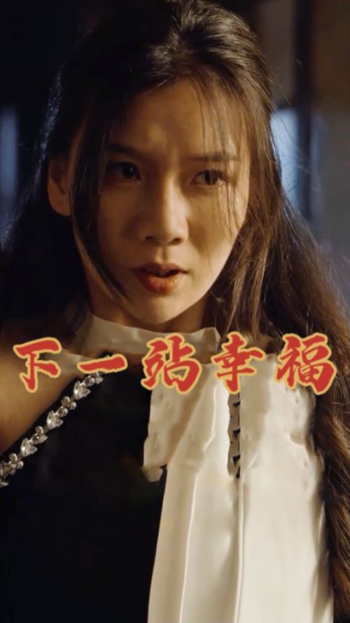 下一站幸福 第1-19集完结(大结局)