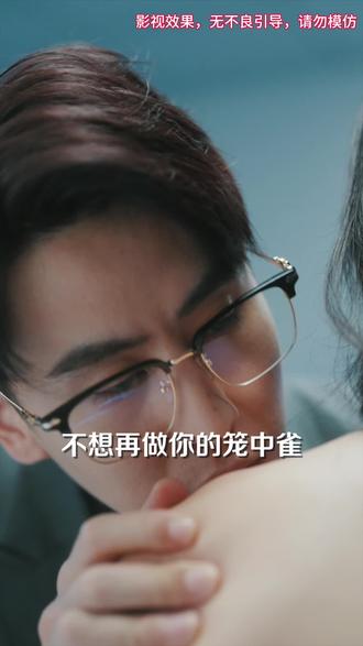 笼中雀 第21-40集