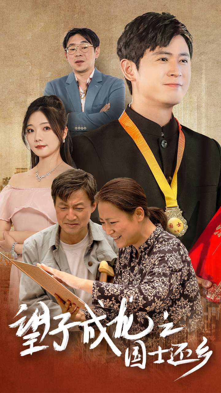 望子成龙之国士还乡 第21-40集