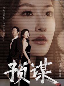 预谋 第21-40集