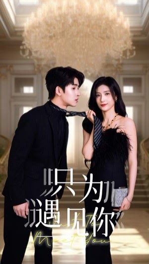 只为遇见你 第21-40集