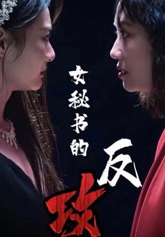 女秘书的反攻 第1-20集