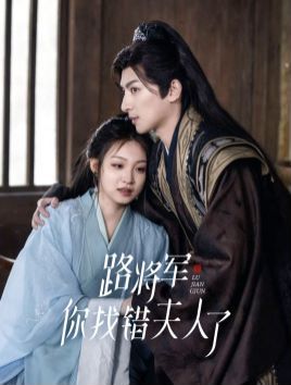 路将军你找错夫人了 第1-20集