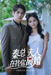 秦总，夫人在找你离婚 第1-20集