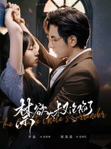 禁欲大叔沦陷了 第1-20集