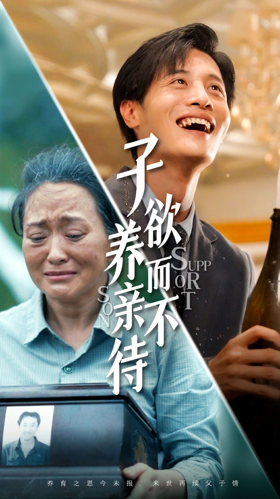 子欲养而亲不待 第21-42集完结