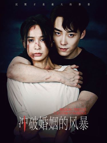 冲破婚姻的风暴 第21-29集完结(大结局)