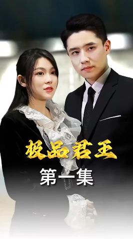 极品君王 第21-40集