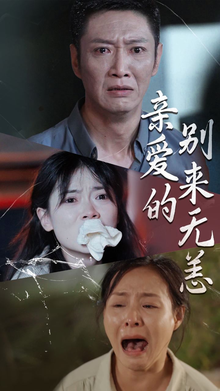 亲爱的别来无恙 第13集