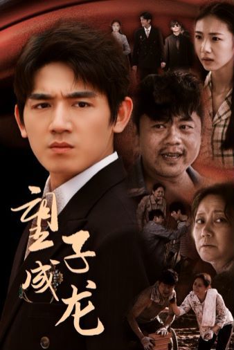 望子成龙 第1-20集