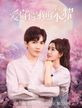 爱上你是我的荣耀 第1-20集