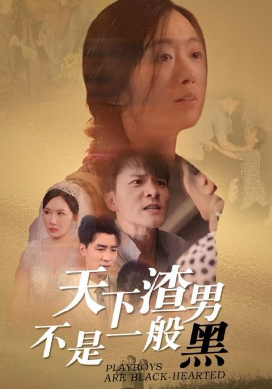 天下渣男不是一般黑 第1-20集