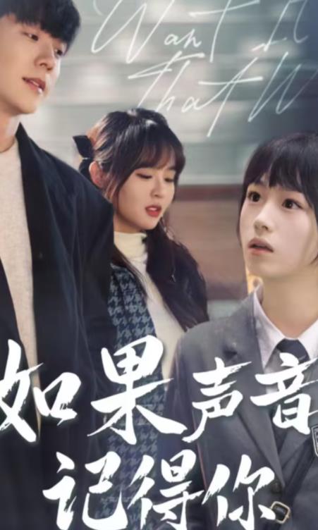 如果声音记得你 全集(大结局)