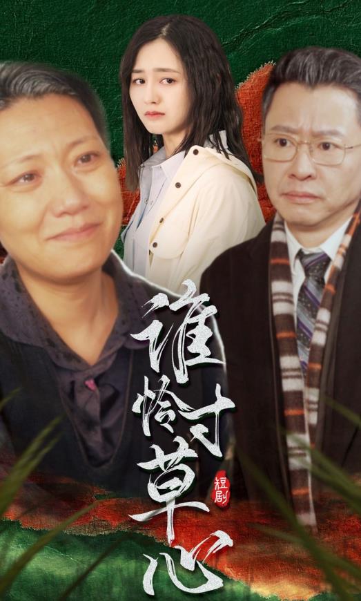 谁怜寸草心 第02集