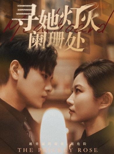 寻她灯火阑珊处 第01集