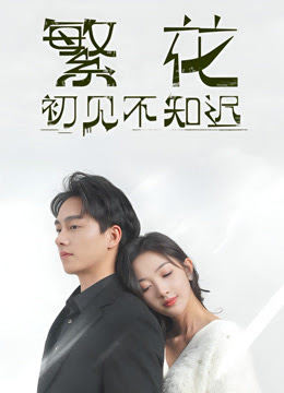 繁花初见不知迟 第101集(大结局)