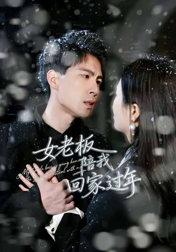 女老板陪我回家过年(全集)